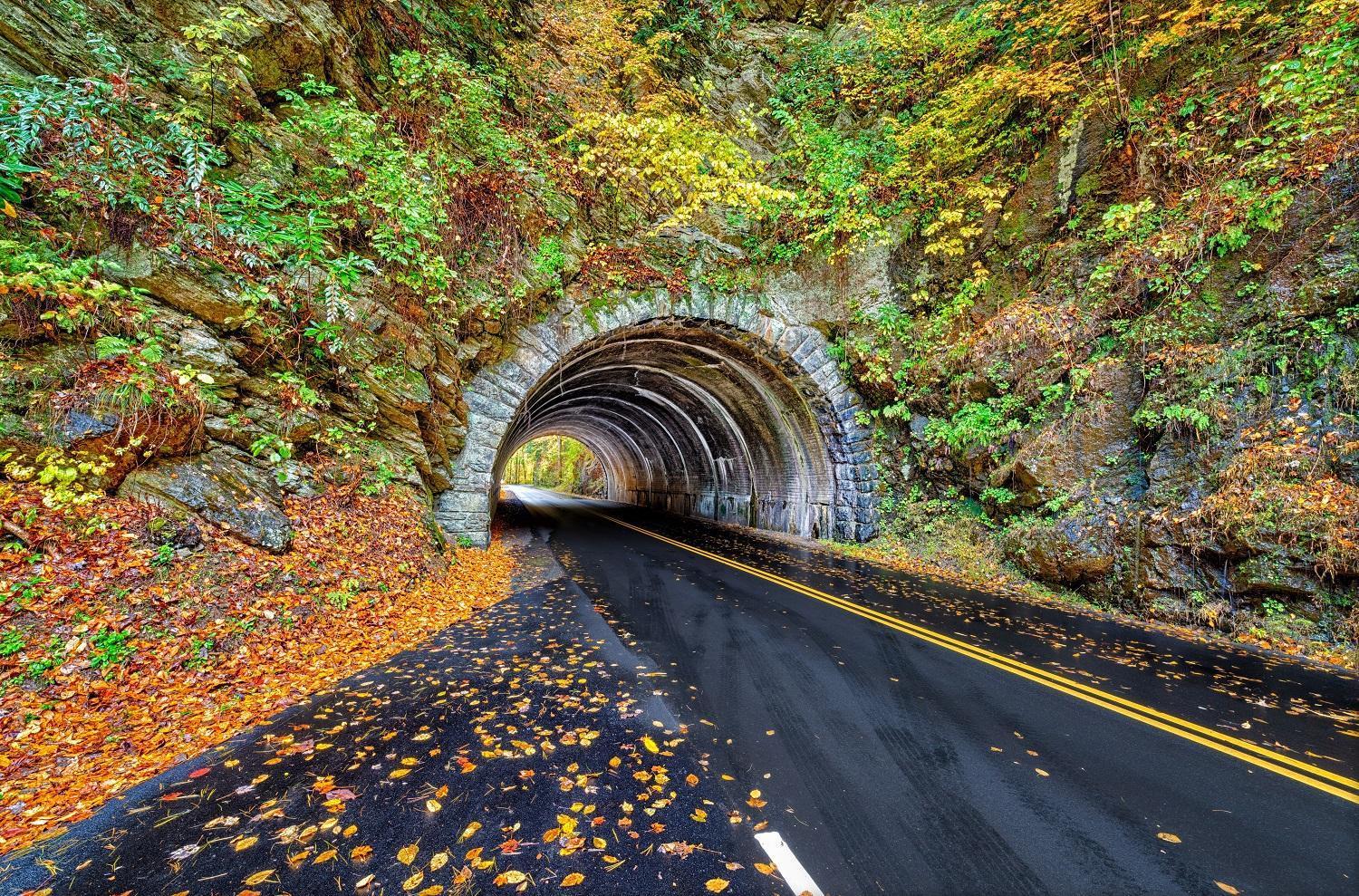 Time To Cuddle, Wifi, Near Pigeon Forge, 1089 Free Tickets Each Paid Day, Dollywood And More Eksteriør billede