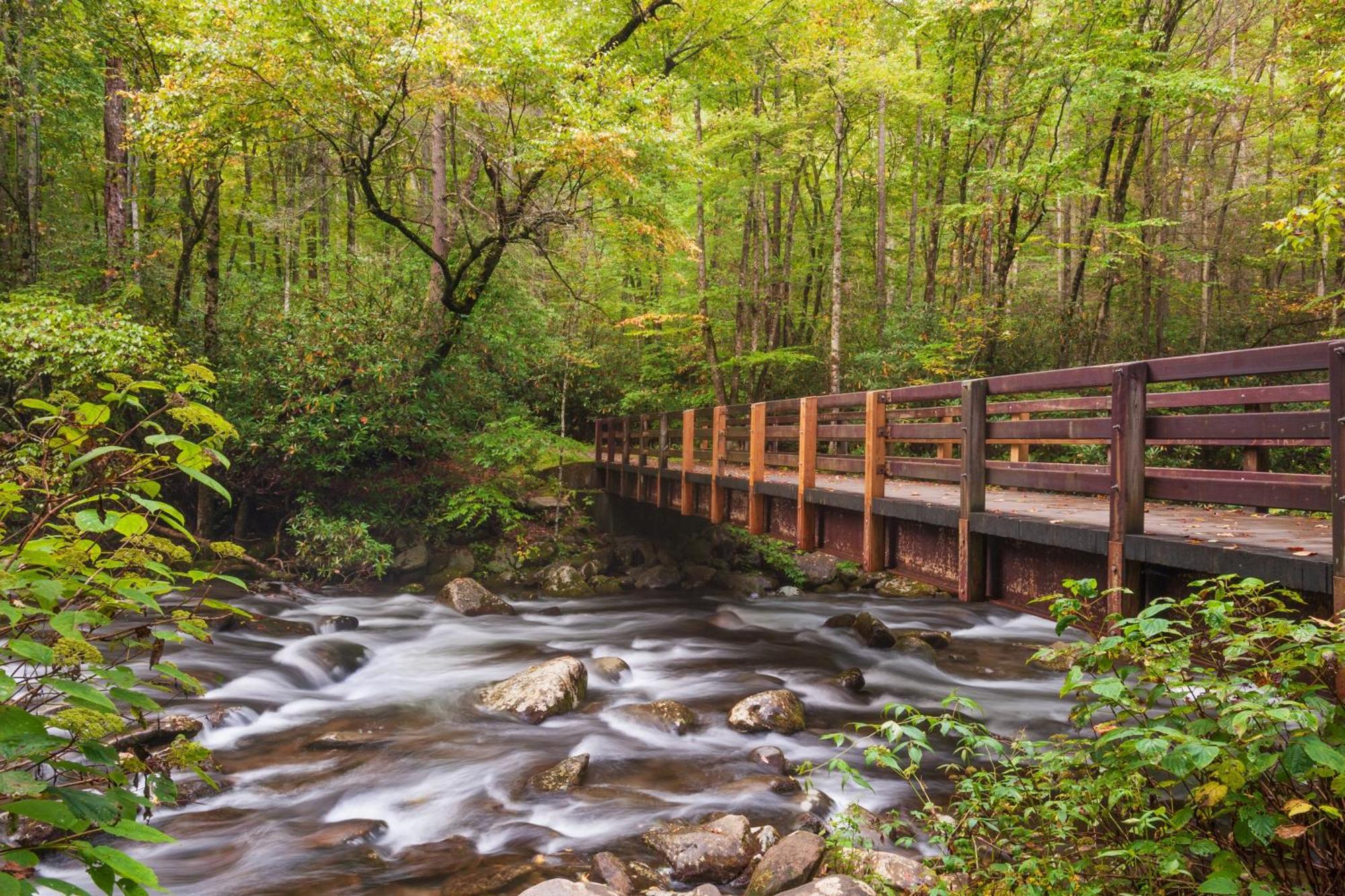 Time To Cuddle, Wifi, Near Pigeon Forge, 1089 Free Tickets Each Paid Day, Dollywood And More Eksteriør billede